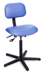 Chair, Ergonomic Painted Series, with Casters, Star BaseBiofit Engineered Products